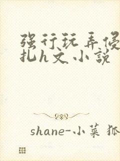 强行玩弄侵犯挣扎h文小说