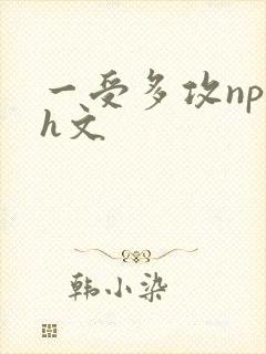 一受多攻np肉h文