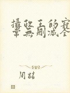 摄政王的宠妻日常无删减全本阅读封面