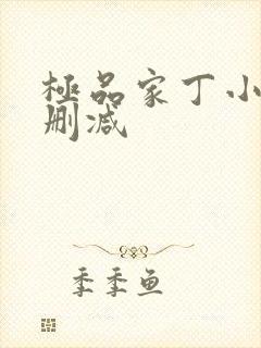 极品家丁小说无删减