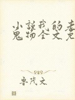 小说我的老公是鬼物全文免费阅读