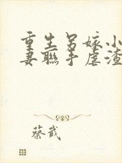 重生另嫁小叔夫妻联手虐渣无错封面