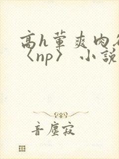 高h荤爽肉欲文〈np〉 小说封面