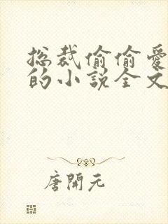 总裁偷偷爱上我的小说全文阅读