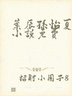 叶辰孙怡夏若雪小说免费