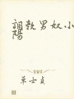 调教男奴小说虐阳