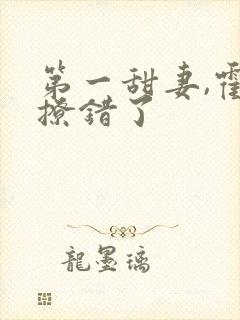 第一甜妻,霍少撩错了