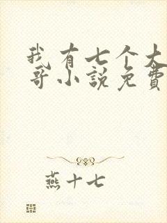 我有七个大佬哥哥小说免费下载封面