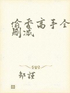 偷香高手全文无删减