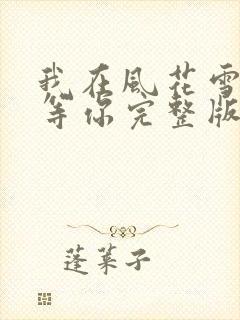 我在风花雪月中等你完整版