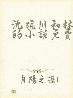 沈砚川和林娇娇的小说免费阅读