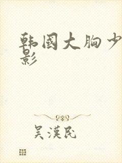 韩国大胸少妇电影封面