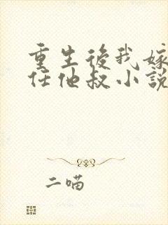 重生后我嫁给前任他叔小说