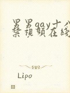 男男gay十八禁视频在线观看封面