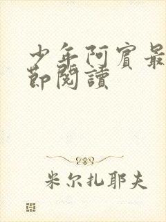 少年阿宾最新章节阅读