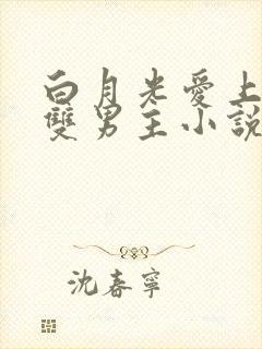 白月光爱上替身双男主小说