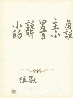 小说男主角姓沈的所有小说