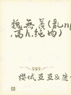 魏无羡(乱np,高h,纯肉)