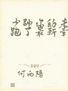 少帅你的老婆又跑了最新章节免费阅读