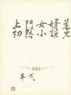 上门女婿叶辰萧初然小说免费