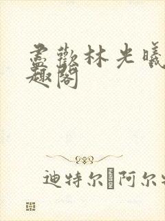 尽欢林光曦 笔趣阁封面