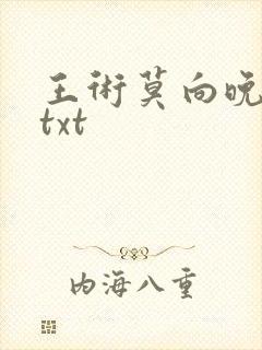 王术莫向晚小说txt封面