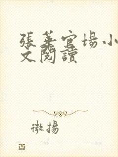 张华官场小说全文阅读封面