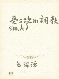 受s攻m调教(sm,h)