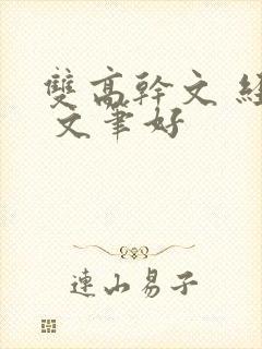 双高干文 经典 文笔好封面