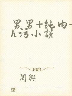 男男+纯肉+高h污小说