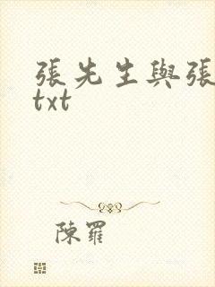 张先生与张先生txt封面
