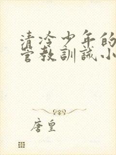 清冷少年的严格管教训诫小说