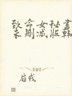 致命女秘书韩剧未删减版韩国