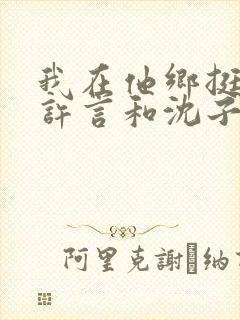 我在他乡挺好的许言和沈子畅结局