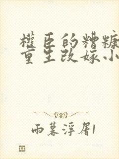 权臣的糟糠之妻重生改嫁小说