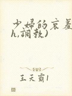 少妇的哀羞(高h,调教)封面