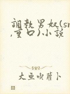 调教男奴(sm,重口)小说