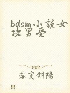 bdsm小说女攻男受