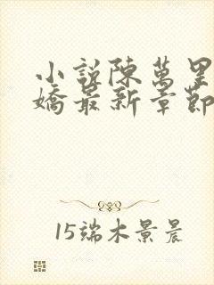 小说陈万里宋娇娇最新章节