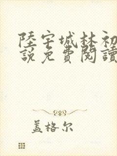 陆宇城林初韵小说免费阅读最新章节