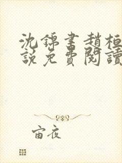 沈锦书赵桓禹小说免费阅读封面