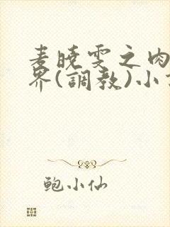 麦晓雯之肉淫世界(调教)小说