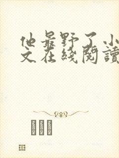 他最野了小说全文在线阅读