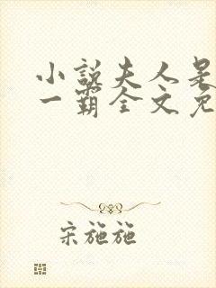 小说夫人是京城一霸全文免费阅读