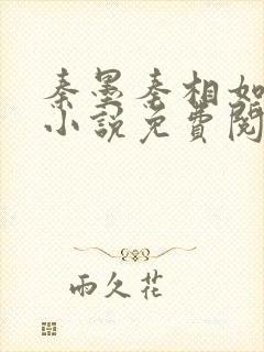 秦墨秦相如穿越小说免费阅读封面