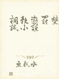 调教惩罚双性训诫小说