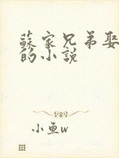 苏家兄弟娶叶紫的小说