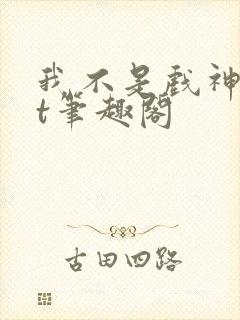 我不是戏神txt笔趣阁封面