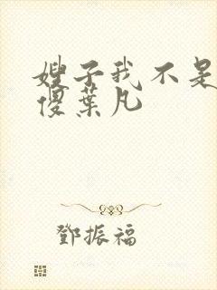 嫂子我不是真的傻叶凡封面