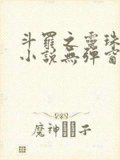 斗罗之灵珠神剑小说无弹窗无广告